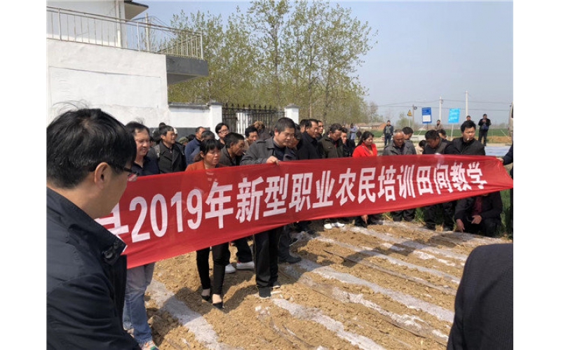 山東臨沭東泰機(jī)械助力江蘇省泗洪縣2019年花生產(chǎn)業(yè)發(fā)展！